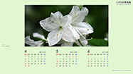 sample_2
