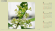 sample_1