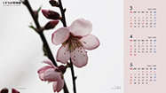 sample_2