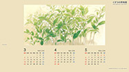 sample_3