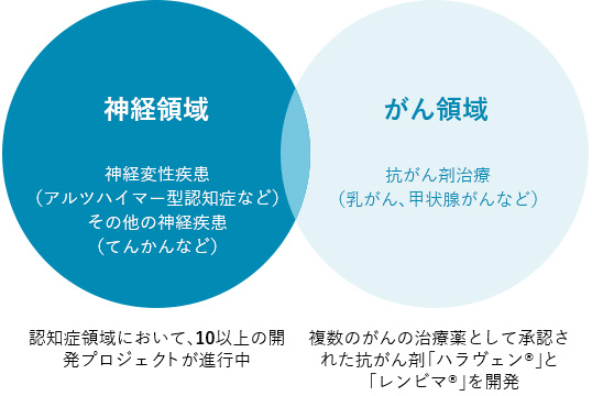 神経領域:神経変性疾患(アルツハイマー型認知症など)、その他の神経疾患(てんかんなど) 認知症領域において、10以上の開発プロジェクトが進行中 がん領域:抗がん剤治療(乳がん、甲状腺がんなど) 複数のがんの治療薬として承認された抗がん剤「ハラヴェン®」と「レンビマ®」を開発