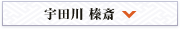 Fc Y