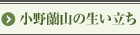 엖R̐