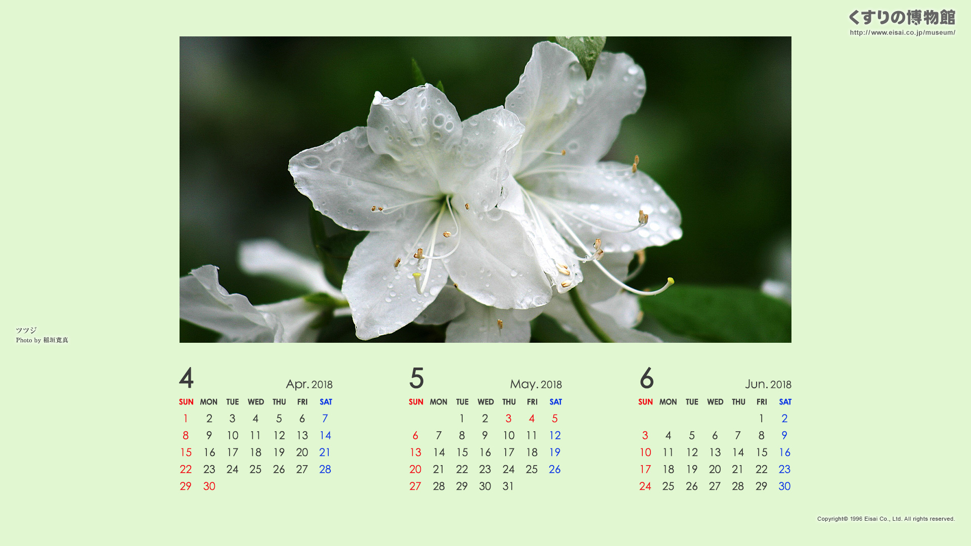 TYPE2_wl