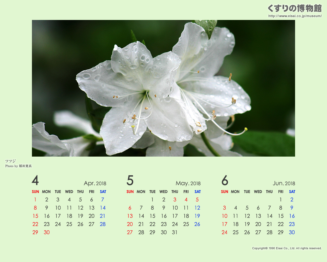 TYPE2_wm