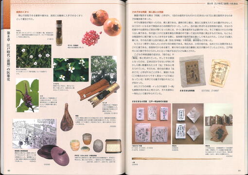 くすりと医療のたどった道―古代から江戸までの病との闘い―