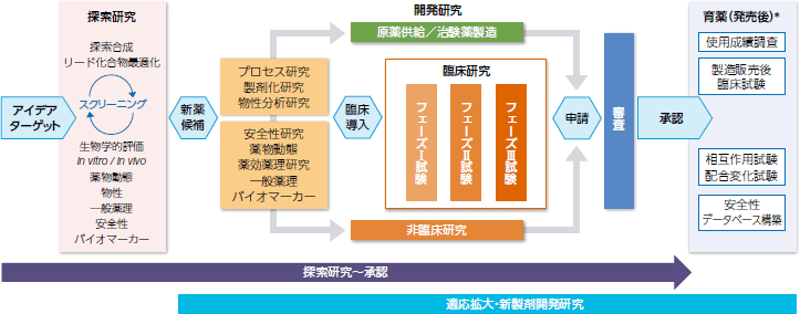 1.アイデアターゲット［探索研究］探索合成、リード化合物最適化、生物学的評価、in vitro/in vivo、薬物動態、物性、一般薬理、安全性、バイオマーカー（スクリーニング） 2.新薬候補～3.臨床導入［開発研究］原薬供給／治験薬製造（プロセス研究、製剤化研究、物性分析研究）、非臨床研究（安全性研究、薬物動態、薬効薬理研究、一般薬理、バイオマーカー）［臨床研究］フェーズⅠ試験、フェーズⅡ試験、フェーズⅢ試験 4.申請 審査 5.承認［育薬（発売後）＊］使用成績調査、製造販売後臨床試験、相互作用試験配合変化試験、安全性データベース構築 探索研究～承認（アイデアターゲット～承認）、適応拡大・新製剤開発研究（新薬候補～育薬（発売後））