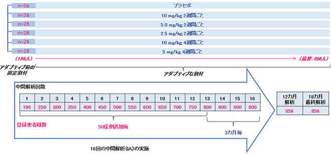 ベイジアン アダプティブ ランダム化デザインの概要