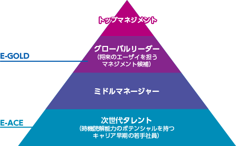 トップマネジメント、グローバルリーダー(将来のエーザイを担うマネジメント候補)E-GOLD、ミドルマネージャー、次世代タレント(時機読解能力のポテンシャルを持つキャリア早期の若手社員)E-ACE
