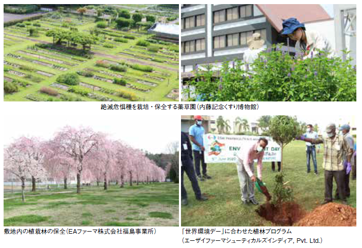 絶滅危惧種を栽培・保全する薬草園(内藤記念くすり博物館) 敷地内の植栽林の保全(EAファーマ株式会社福島事業所) 「世界環境デー」に合わせた植林プログラム(エーザイファーマシューティカルズインディア,Pvt.Ltd.)
