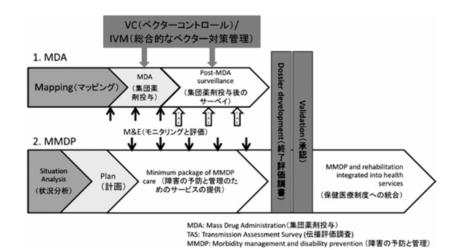 プログラム概要