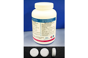 リンパ系フィラリア症治療薬DEC錠の無償提供を開始