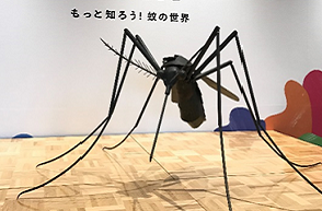 日本初の“蚊学”入門イベント Japan Mosquito Festival：『ぶ～ん蚊祭ーもっと知ろう蚊の世界』開催