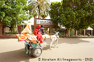 世界で最も顧みられない病気の一つである真菌性菌腫の治療薬開発