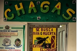 シャーガス病　適切な治療へのアクセスを増やす
DNDi リベイロ医師からの現地レポート
